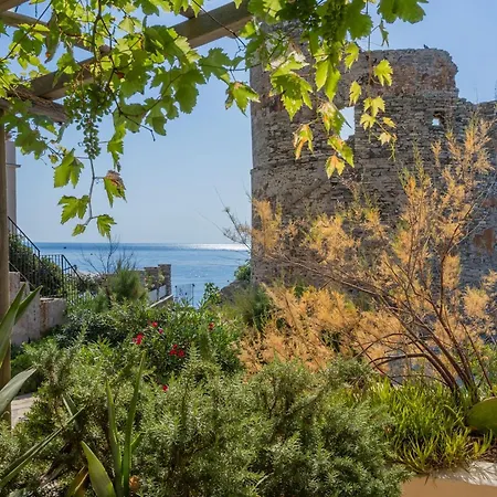 펜션 Maison De Pecheur Dans Le Cap Corse 에르발룽가